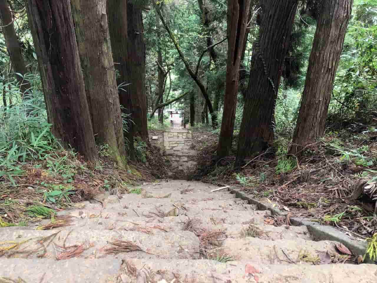新府城にある藤武神社の長い階段